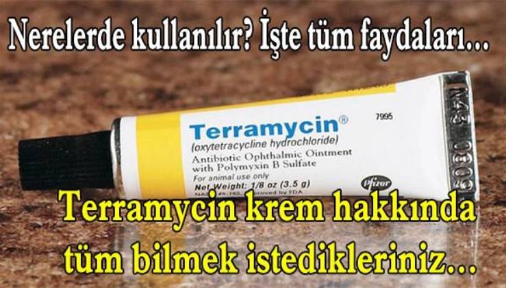 Terramycin Krem Nerelerde Kullanilir Iste Tum Faydalari