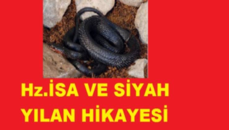 hz isa a s ve siyah yilan